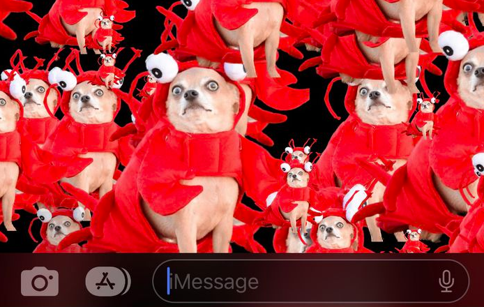 iOS 16 小技巧:使用抠图功能和 iMessage 分享趣味图片