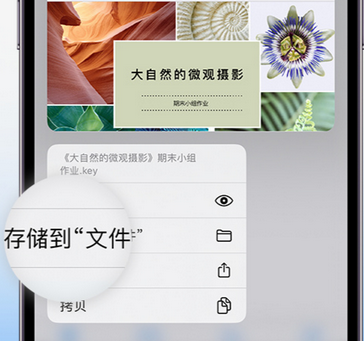 吴堡apple维修中心分享iPhone文件应用中存储和找到下载文件