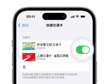 吴堡apple维修点分享iPhone上更换Apple Pay快捷交通卡手绘卡面 