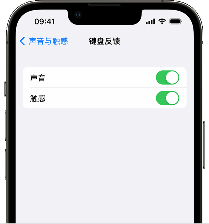 吴堡苹果14维修店分享如何在 iPhone 14 机型中使用触感键盘 