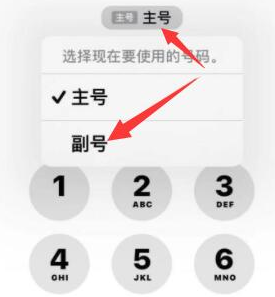 吴堡苹果14维修店分享iPhone 14 Pro Max使用副卡打电话的方法 